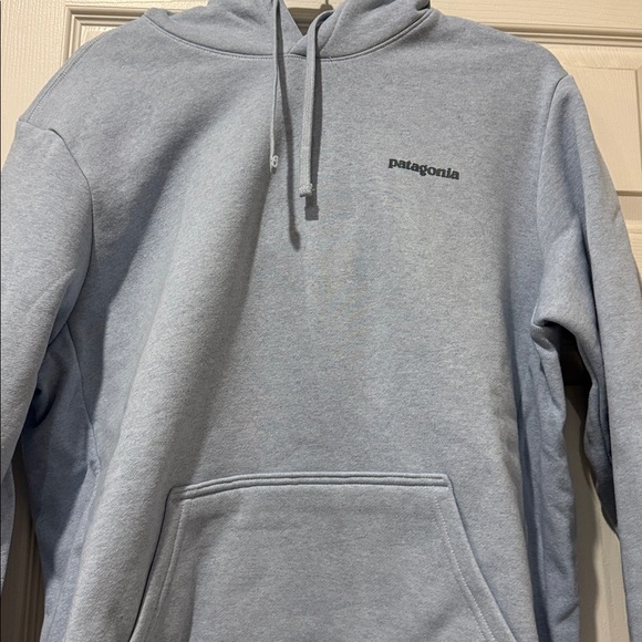 Patagonia Women’s XL, Men's L Light Blue Hoodie - Picture 6 of 16